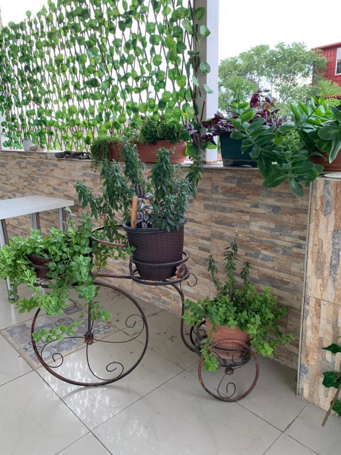 Hotel Davidl Tbilisi Exterior photo